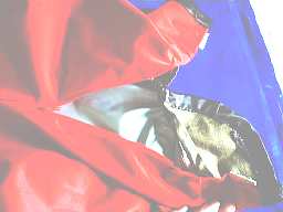 ����ς肢��Ȃ������p