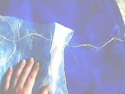 �D��Ȃ��Ă������܂�