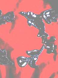 �A���K�g�[�_�C���[�I�I