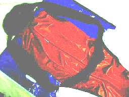 ����Ȋ�����