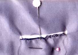 ������Ƃڂ��ڂ�