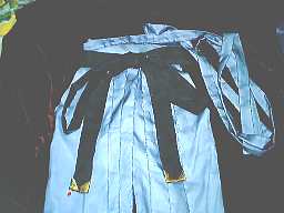 ���ۂ͌�낪���C���F�̃x���x�b�g�ł��^���ł���