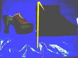 �L�т�z���Ƃ��₷���ł�