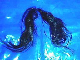 �֏�̃J�[���т͎�ŊȒP�ɂقǂ��܂�