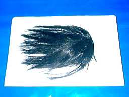 ����ł������܂ŃX�g���[�g��