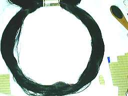 �㔼�������ł߂�\��