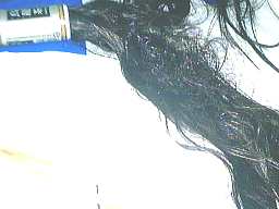 �����h���C���[�o�������悤���Ȃ�