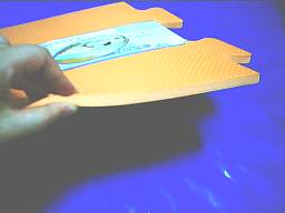 �����͂��Q�^