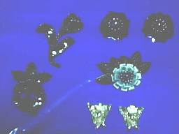 �r�[�Y�����͂ǂ����Ă��t��������ł��c�c