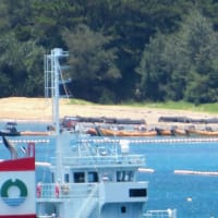 ゲートからの資材搬入はなかったが、辺野古側工区への土砂投入は行われる。