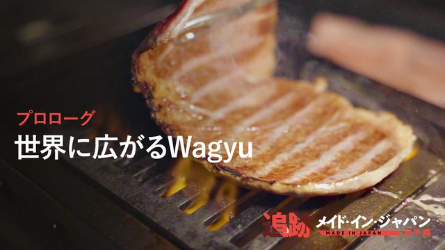 【プレミアムA】和牛と言えば豪州産？