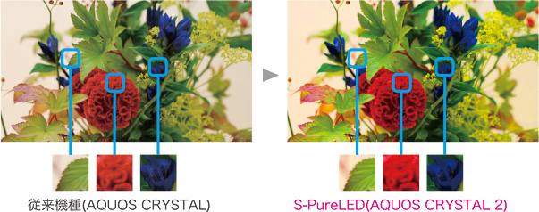 大画面にふさわしい鮮やかな表現力 S-PureLED