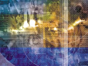 D.cultureさんの写真