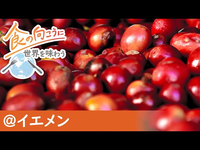 「神よ。救いたまえ」兄弟が命を懸けたモカ、日本への道
