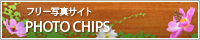 �t���[�ʐ^�T�C�g PHOTO CHIPS