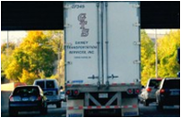 �M���̏�TRUST