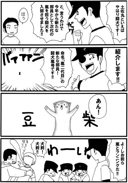 �O�����������������c