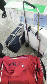 �����l�ł����I