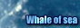 Whale of sea ENTER
