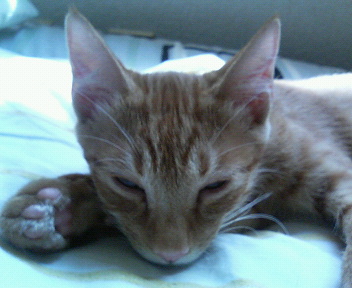 �q�L����@�Q��