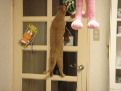 ��������炢�܁[