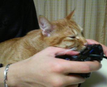 �ז��Ȃ�ł����ǁc