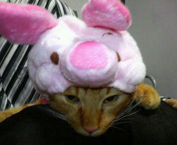 �s�@���҂������