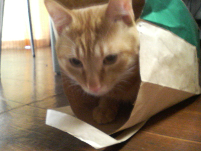 ���C�ɓ���̏ꏊ�H