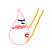 �킩�����A������R