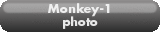 Monkey-1.photo