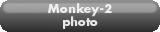 Monkey-2.photo